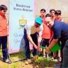 Plantation Drive
